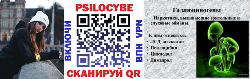 Псилоцибиновые грибы Psilocybe  OMG ССЫЛКА  Пущино 